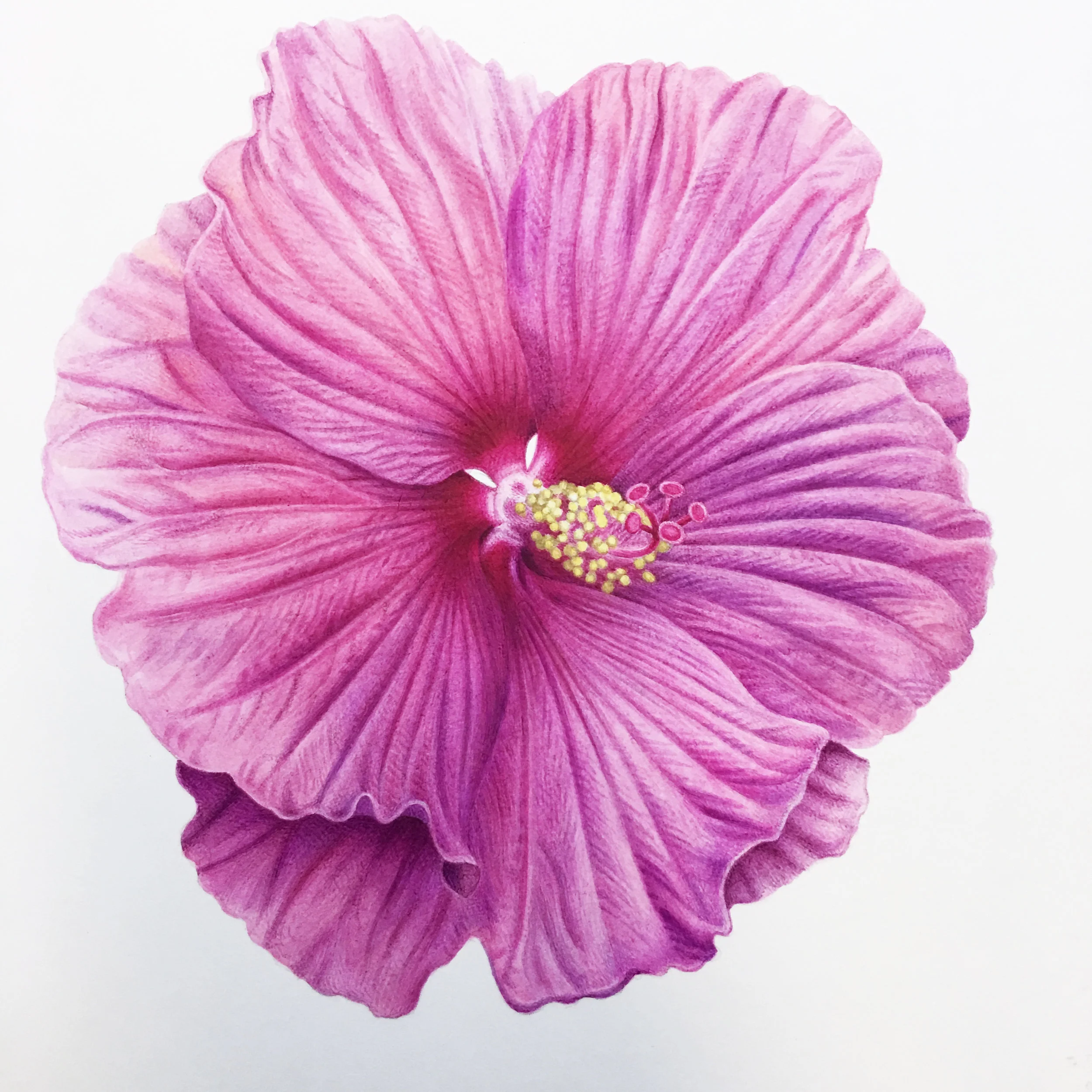  Flowerパンプス ピンク×ピンク Romi Flower Heels-Pink – Atlanta Shoe Studio